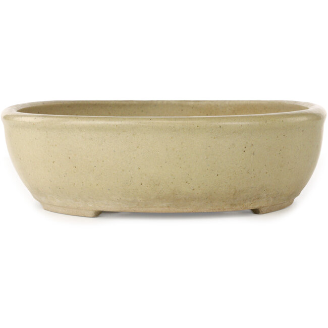 Pot à bonsaï ovale blanc cassé - 380 x 302 x 87 mm