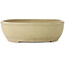 Pot à bonsaï ovale blanc cassé - 380 x 302 x 87 mm