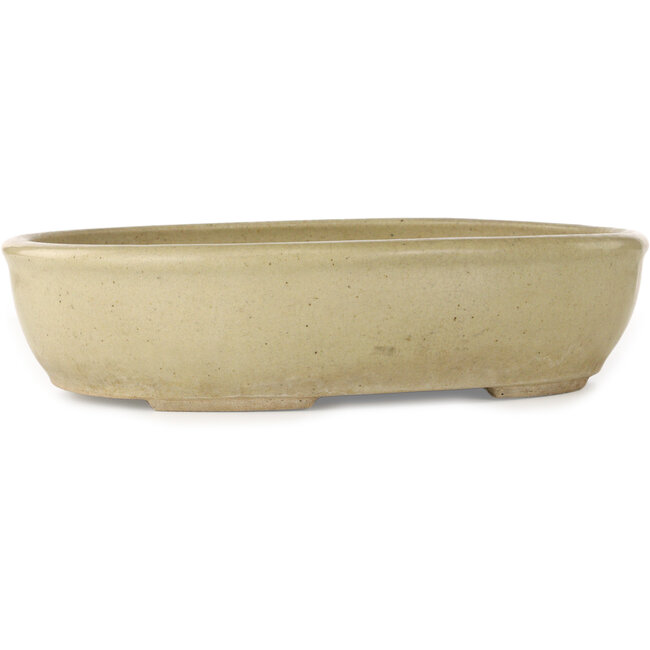 Maceta ovalada para bonsái en color blanco roto - 380 x 302 x 87 mm