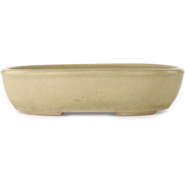 Pot à bonsaï ovale blanc cassé - 380 x 302 x 87 mm