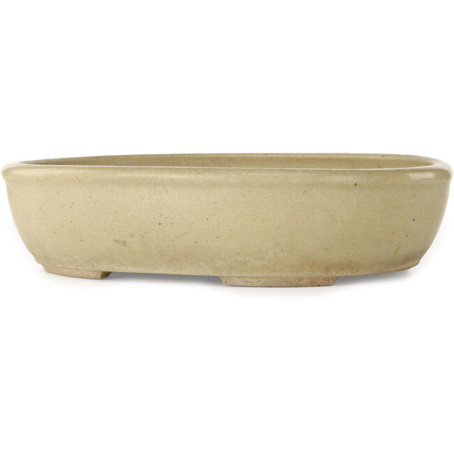 Ovale, gebroken witte bonsaipot - 380 x 302 x 87 mm