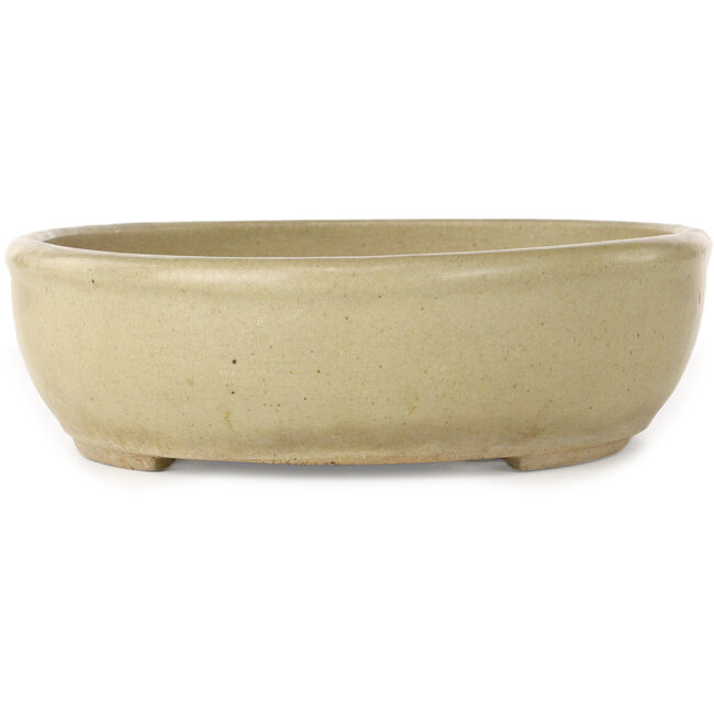 Maceta ovalada para bonsái en color blanco roto - 380 x 302 x 87 mm