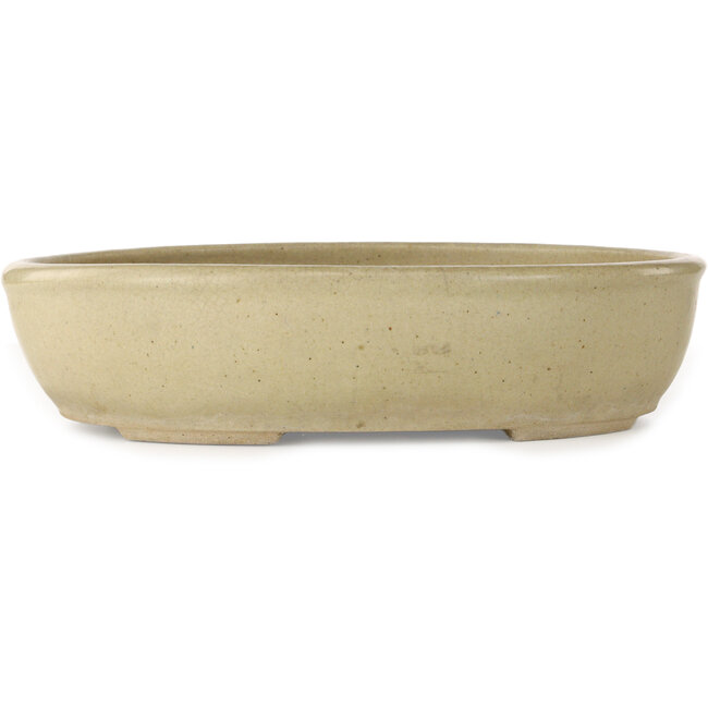 Pot à bonsaï ovale blanc cassé - 380 x 302 x 87 mm