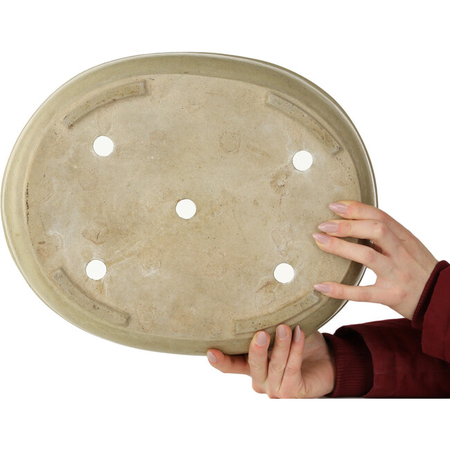 Pot à bonsaï ovale blanc cassé - 380 x 302 x 87 mm