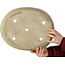 Oval off-white bonsai pot - 380 x 302 x 87 mm