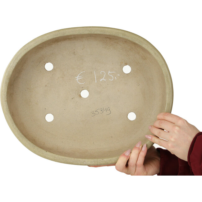 Oval off-white bonsai pot - 380 x 302 x 87 mm
