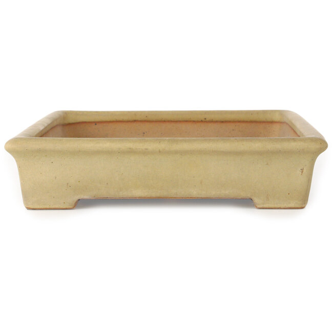 Maceta rectangular para bonsái de color blanquecino de Seizan (Reihou, Kataoka Katsushi, maestro del horno Seizan) - 383 x 258 x 57 mm