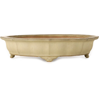 Seizan (Reihou, Kataoka Katsushi, master Seizan kiln) Vaso bonsai di loto bianco sporco da 322 mm di Seizan (Reihou, Kataoka Katsushi, master Seizan kiln), Tokoname, Giappone