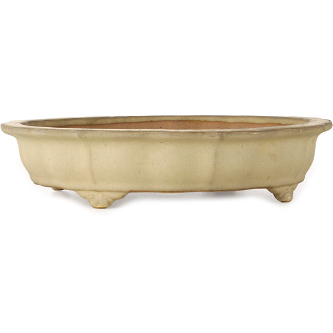 Lotus off-white bonsai pot by Seizan (Reihou, Kataoka Katsushi, master Seizan kiln) - 322 x 322 x 73 mm