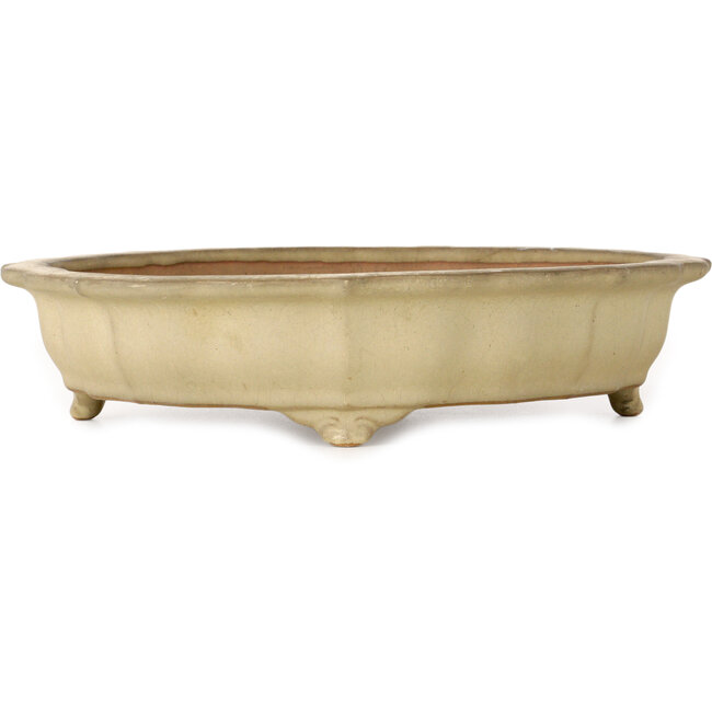 Lotus off-white bonsai pot by Seizan (Reihou, Kataoka Katsushi, master Seizan kiln) - 322 x 322 x 73 mm