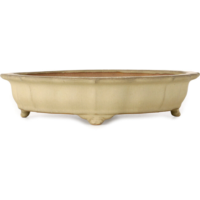 Lotus off-white bonsai pot by Seizan (Reihou, Kataoka Katsushi, master Seizan kiln) - 322 x 322 x 73 mm