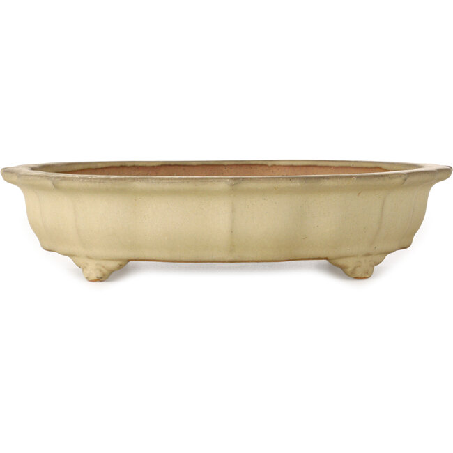 Lotus off-white bonsai pot by Seizan (Reihou, Kataoka Katsushi, master Seizan kiln) - 322 x 322 x 73 mm