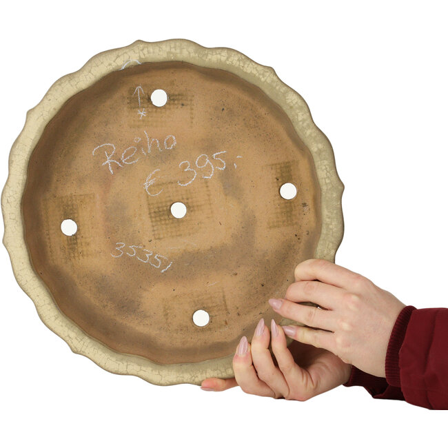 Lotus off-white bonsai pot by Seizan (Reihou, Kataoka Katsushi, master Seizan kiln) - 322 x 322 x 73 mm