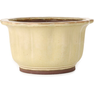  Yamaaki Maceta de bonsái de loto de 283 mm en color blanco roto de Yamaaki, Tokoname, Japón