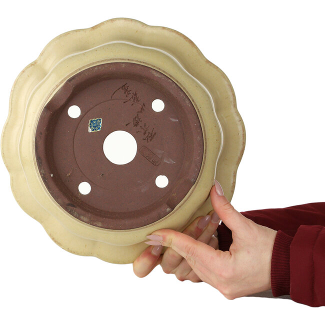 Pot à bonsaï Lotus blanc cassé de Yamaaki - 283 x 283 x 154 mm