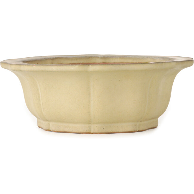 Lotus off-white bonsai pot by Seizan (Reihou, Kataoka Katsushi, master Seizan kiln) - 252 x 252 x 90 mm