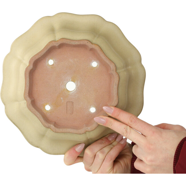 Pot à bonsaï Lotus blanc cassé par Seizan (Reihou, Kataoka Katsushi, maître four Seizan) - 252 x 252 x 90 mm