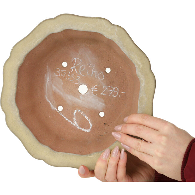 Lotus off-white bonsai pot by Seizan (Reihou, Kataoka Katsushi, master Seizan kiln) - 252 x 252 x 90 mm