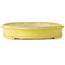 Maceta ovalada para bonsái amarilla de Terahata Satomi Mazan - 633 x 440 x 82 mm