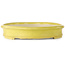 Vaso bonsai ovale giallo di Terahata Satomi Mazan - 633 x 440 x 82 mm