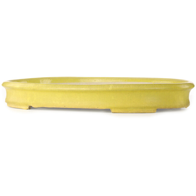 Oval yellow bonsai pot by Terahata Satomi Mazan - 633 x 440 x 82 mm
