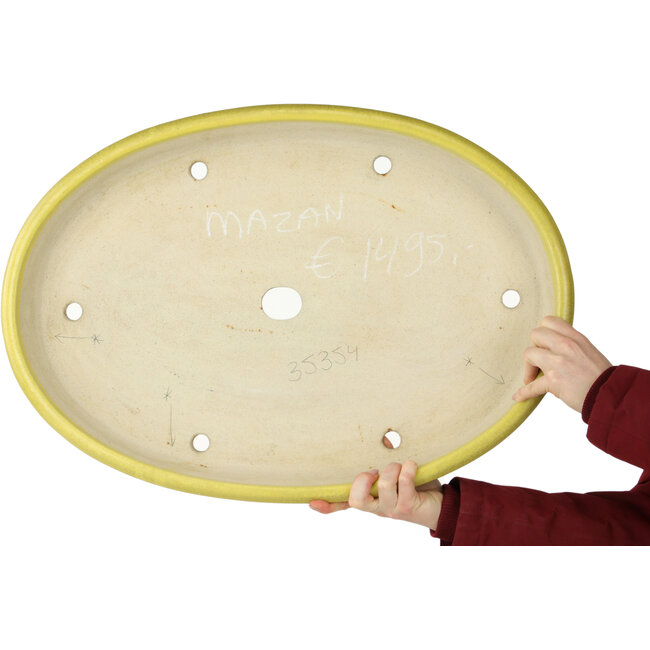 Maceta ovalada para bonsái amarilla de Terahata Satomi Mazan - 633 x 440 x 82 mm