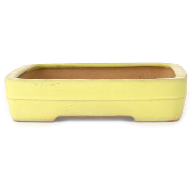 Vaso bonsai rettangolare giallo di Yamafusa - 357 x 263 x 58 mm