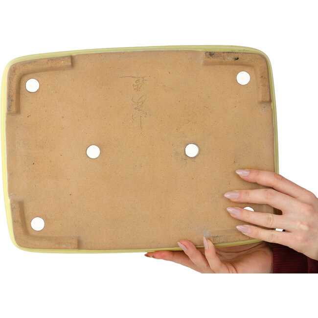 Maceta rectangular amarilla para bonsái de Yamafusa - 357 x 263 x 58 mm
