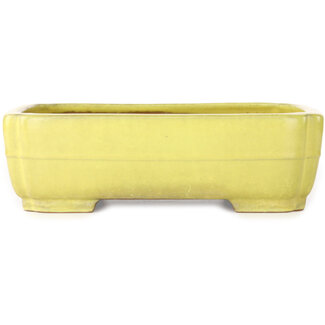  Yamafusa - Takehiko Koie 307 mm mokko yellow bonsai pot by Yamafusa, Tokoname, Japan