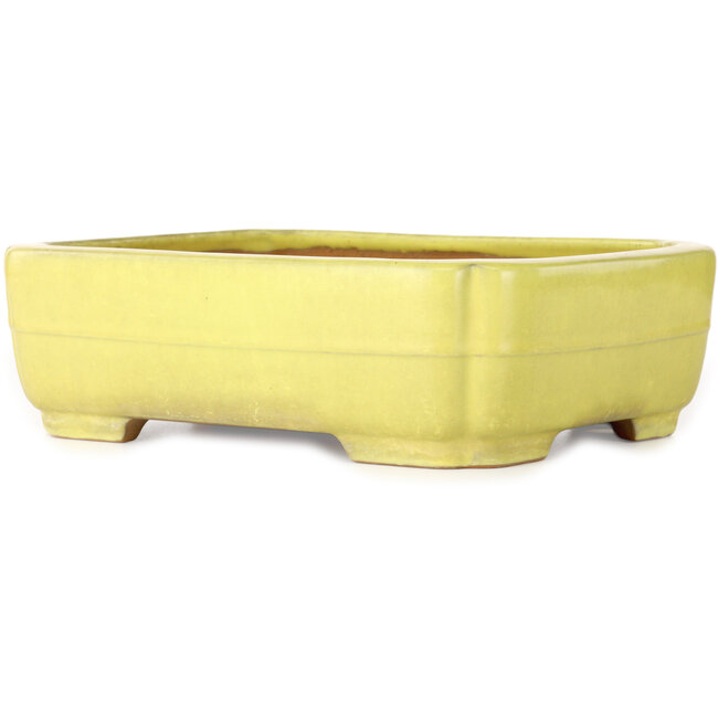 Maceta para bonsai Mokko amarilla de Yamafusa - 307 x 242 x 92 mm