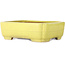 Pot à bonsaï Mokko jaune par Yamafusa - 307 x 242 x 92 mm