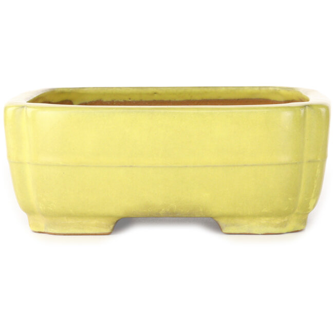 Pot à bonsaï Mokko jaune par Yamafusa - 307 x 242 x 92 mm