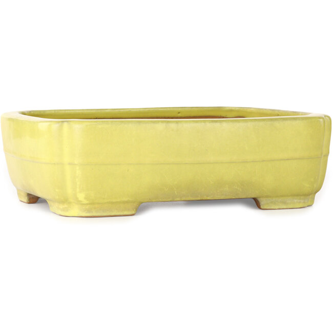 Mokko gelber Bonsaitopf von Yamafusa – 307 x 242 x 92 mm