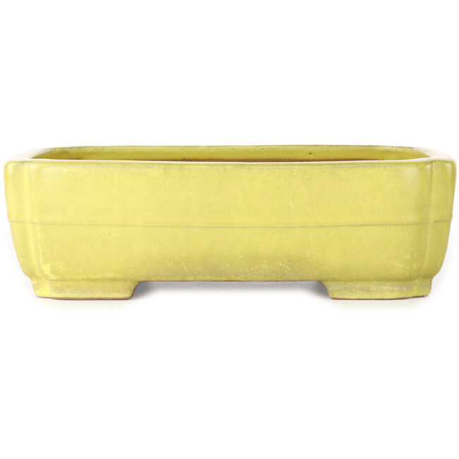 Mokko gele bonsaipot van Yamafusa - 307 x 242 x 92 mm