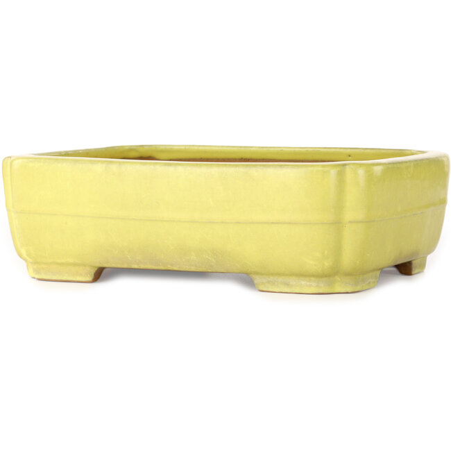 Mokko gelber Bonsaitopf von Yamafusa – 307 x 242 x 92 mm