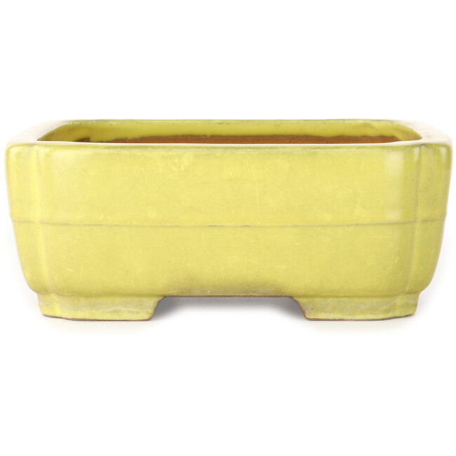 Mokko gelber Bonsaitopf von Yamafusa – 307 x 242 x 92 mm
