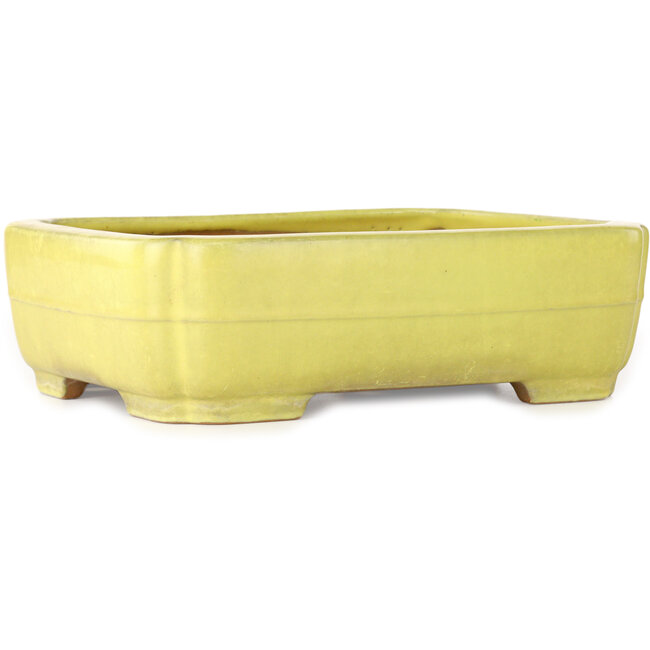 Mokko yellow bonsai pot by Yamafusa - 307 x 242 x 92 mm