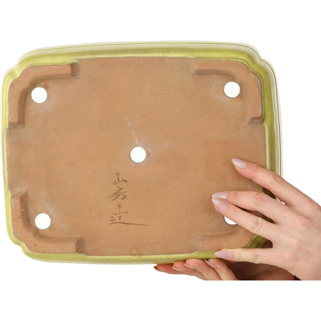Maceta para bonsai Mokko amarilla de Yamafusa - 307 x 242 x 92 mm
