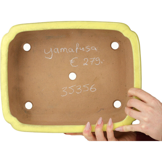Maceta para bonsai Mokko amarilla de Yamafusa - 307 x 242 x 92 mm