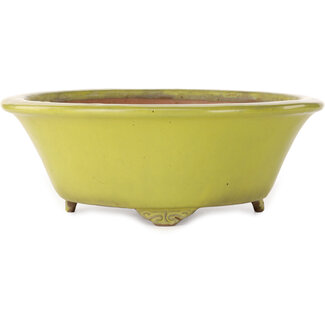 Gyouzan - Yukizyou Nakano & Yuuji Nakano Pot à bonsaï rond jaune de 315 mm de diamètre, fabriqué par Gyouzan, Tokoname, Japon.