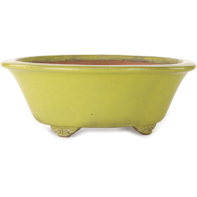 Pot à bonsaï rond jaune de Gyouzan - 315 x 315 x 110 mm