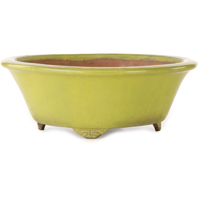 Ronde gele bonsaipot van Gyouzan - 315 x 315 x 110 mm
