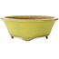 Pot à bonsaï rond jaune de Gyouzan - 315 x 315 x 110 mm