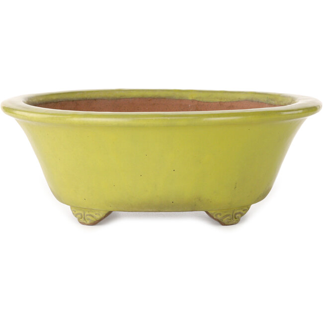 Pot à bonsaï rond jaune de Gyouzan - 315 x 315 x 110 mm