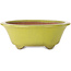 Round yellow bonsai pot by Gyouzan - 315 x 315 x 110 mm