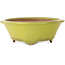 Round yellow bonsai pot by Gyouzan - 315 x 315 x 110 mm