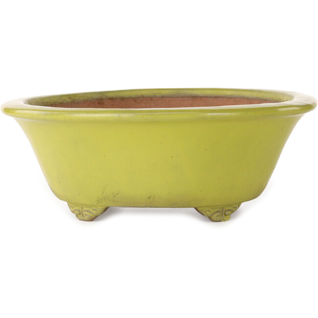 Runder gelber Bonsai-Topf von Gyouzan – 315 x 315 x 110 mm