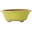 Ronde gele bonsaipot van Gyouzan - 315 x 315 x 110 mm