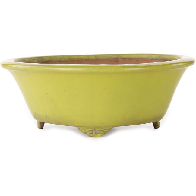 Ronde gele bonsaipot van Gyouzan - 315 x 315 x 110 mm