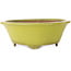 Maceta redonda amarilla para bonsái de Gyouzan - 315 x 315 x 110 mm
